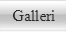 Galleri